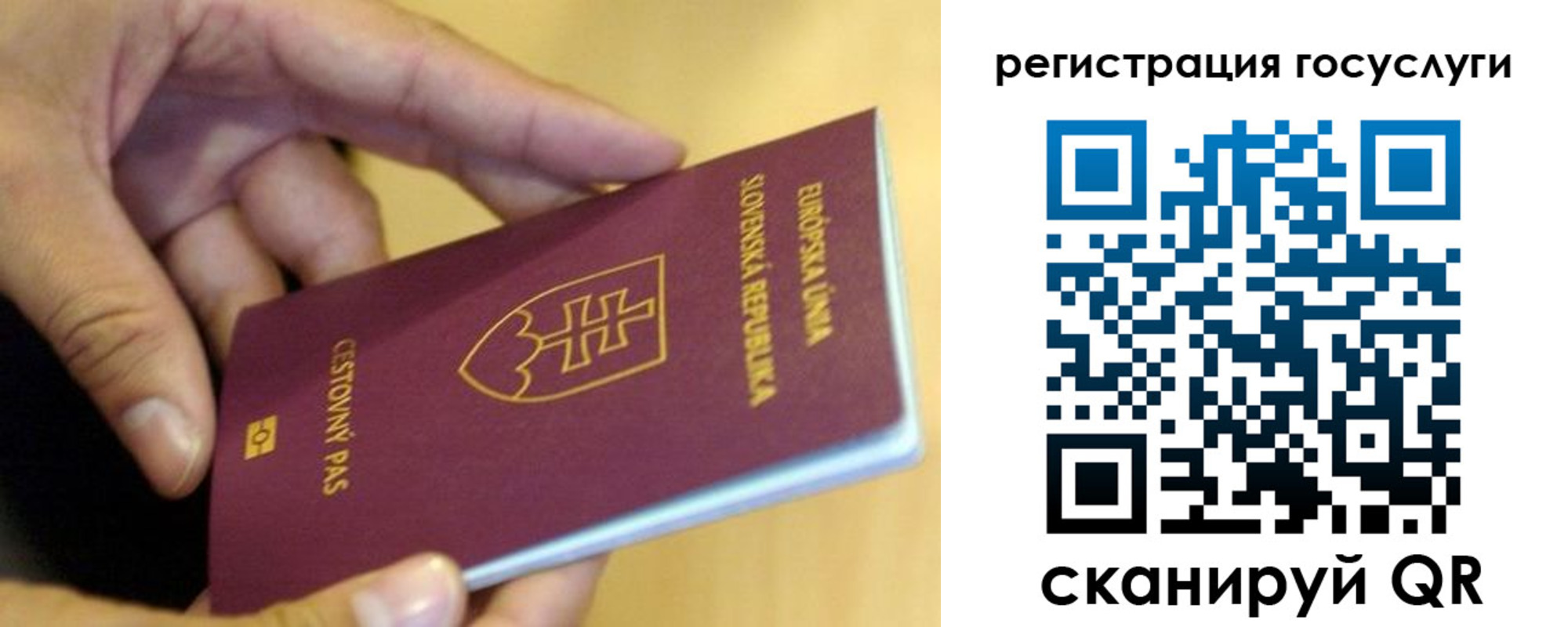 прописка в квартире в Всеволожске